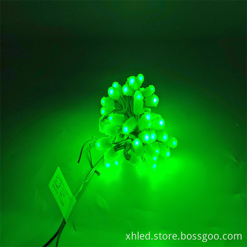 Outdoor Waterproof LED Pixel Light 0.2W DC12V IP67 Single Color for Advertising Signs